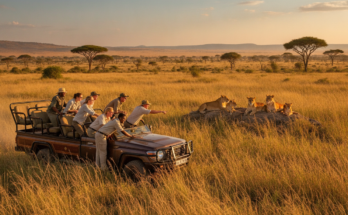 Kenya safari packages